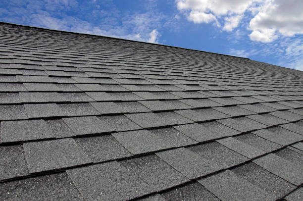 Best Roof Maintenance and Cleaning  in Parole, MD
