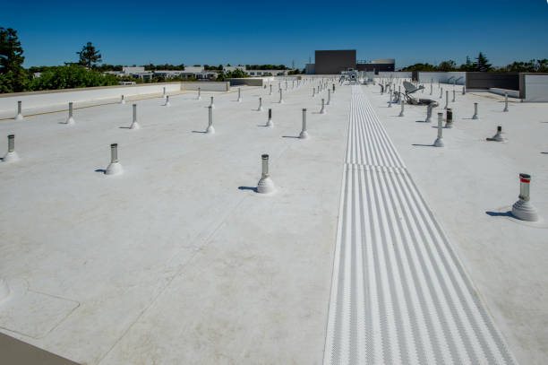 Best Skylight Installation and Repair  in Parole, MD